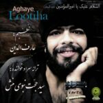 دانلود آهنگ سید حجت نبوی منش آقای لوتی ها